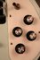 Rickenbacker 4003/4 FL, Blue Boy: Close up - Free