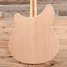 Apr 2008 Rickenbacker 360/6 , Mapleglo: Body - Rear
