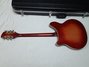 Rickenbacker 366/12 , Fireglo: Full Instrument - Rear