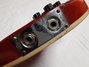Rickenbacker 366/12 , Fireglo: Close up - Free
