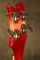 Rickenbacker 4003/4 , Fireglo: Headstock - Rear