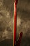 Rickenbacker 4001/4 , Burgundy: Neck - Rear