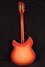 Rickenbacker 360/12 C63, Fireglo: Full Instrument - Rear