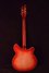 Rickenbacker 360/6 , Fireglo: Full Instrument - Rear