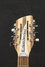 Rickenbacker 330/12 , Mapleglo: Headstock
