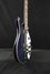 Rickenbacker 620/12 , Midnightblue: Free image
