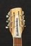Rickenbacker 1993/12 Plus, Mapleglo: Headstock