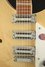 Rickenbacker 1993/12 Plus, Mapleglo: Free image