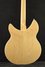 Feb 2019 Rickenbacker 1993/12 Plus, Mapleglo: Body - Rear