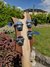 Rickenbacker 4003/4 , Natural Walnut: Headstock - Rear