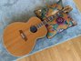 Rickenbacker 700/12 Shasta, Natural: Free image2