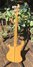 Rickenbacker 4001/4 , Mapleglo: Full Instrument - Rear