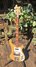 Rickenbacker 4001/4 , Mapleglo: Neck - Front
