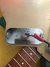 Rickenbacker 400/6 Refin, Cloverfield Green: Free image