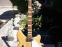 Rickenbacker 360/12 , Natural: Neck - Front