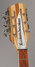 Feb 1999 Rickenbacker 381/12 V69, Mapleglo: Headstock