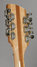 Rickenbacker 381/12 V69, Mapleglo: Headstock - Rear