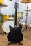 Rickenbacker 330/6 , Matte Black: Full Instrument - Rear