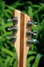 Rickenbacker 381/6 V69, Mapleglo: Headstock - Rear