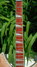 Rickenbacker 381/6 V69, Mapleglo: Neck - Front