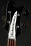 Rickenbacker 4003/4 S, Jetglo: Headstock