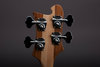 Rickenbacker 4003/4 , Mapleglo: Headstock - Rear