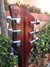 Rickenbacker 330/6 , Fireglo: Headstock - Rear