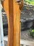 Rickenbacker 365/6 , Mapleglo: Full Instrument - Rear