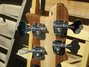 Rickenbacker 4003/4 , Mapleglo: Headstock - Rear