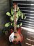 Rickenbacker 360/12 , Fireglo: Full Instrument - Front