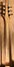 Rickenbacker 620/6 , Mapleglo: Neck - Rear
