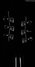 Rickenbacker 330/6 , Jetglo: Headstock - Rear