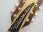 Rickenbacker 650/6 Sierra, Natural Walnut: Headstock