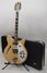 Rickenbacker 360/12 , Mapleglo: Free image2
