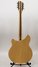 Rickenbacker 360/12 , Mapleglo: Full Instrument - Rear