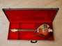 Rickenbacker 335/6 Capri, Autumnglo: Free image2