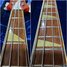 Rickenbacker 4001/4 , Burgundy: Neck - Front
