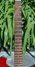 Rickenbacker 425/6 V63, Burgundy: Neck - Front