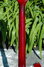 Rickenbacker 425/6 V63, Burgundy: Neck - Rear