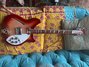 Rickenbacker 360/12 , Fireglo: Full Instrument - Front