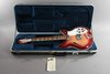 Rickenbacker 381/6 V69, Fireglo: Close up - Free2