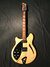 Rickenbacker 360/6 BH BT, Mapleglo: Full Instrument - Front
