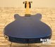 Rickenbacker 2020/4 , Midnightblue: Full Instrument - Rear