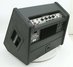 Rickenbacker /amp , Black: Free image
