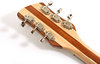 Rickenbacker 381/6 V69, Mapleglo: Headstock - Rear