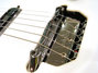 Rickenbacker 425/6 V63, Jetglo: Close up - Free