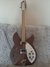 Rickenbacker 330/6 Mod, Natural Walnut: Full Instrument - Front