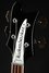 Rickenbacker 4003/4 , Jetglo: Headstock
