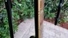 Rickenbacker 360/6 , Jetglo: Free image2
