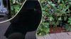 Rickenbacker 360/6 , Jetglo: Close up - Free2